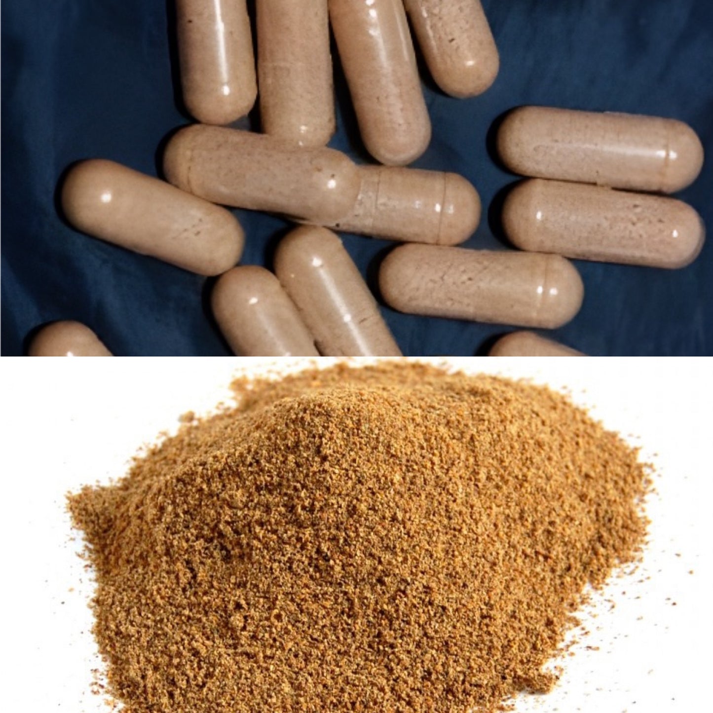 cactus capsules