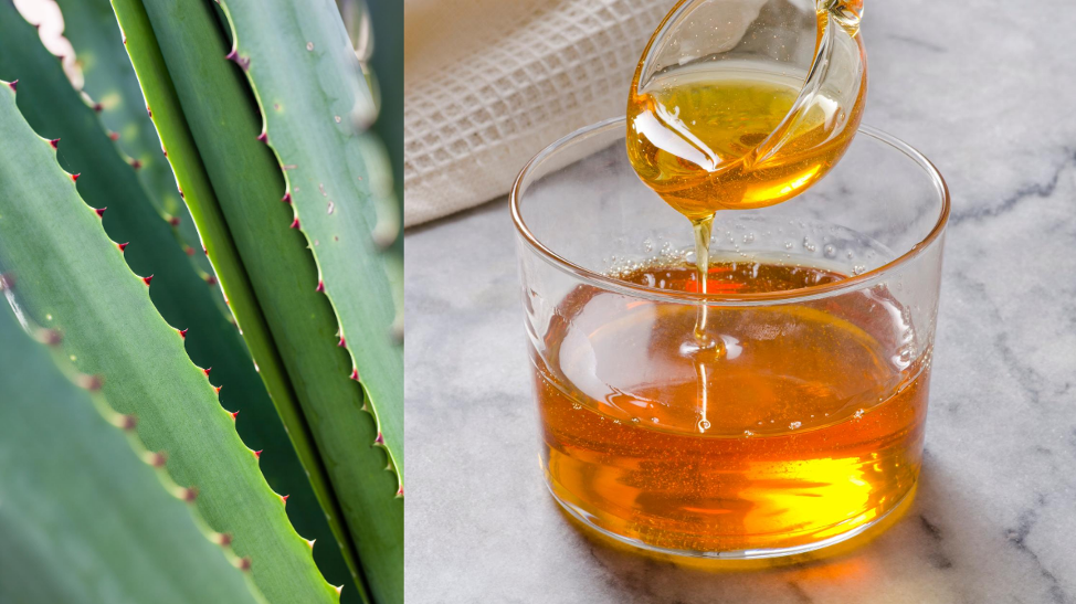 Wild agave syrup