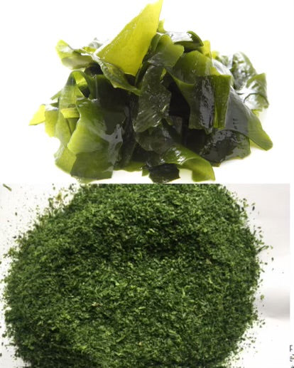 Dried Wakame powder