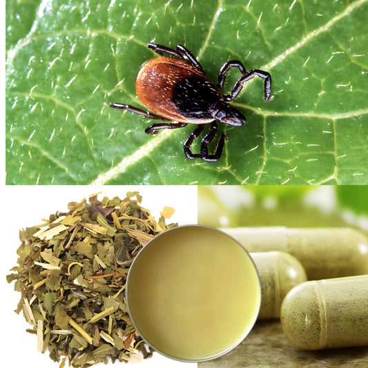 Lyme disease fighter butter , tea , capsules package