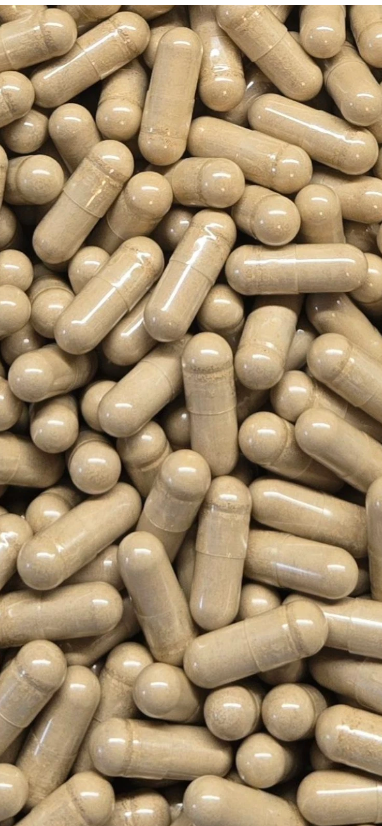 Burdock capsules