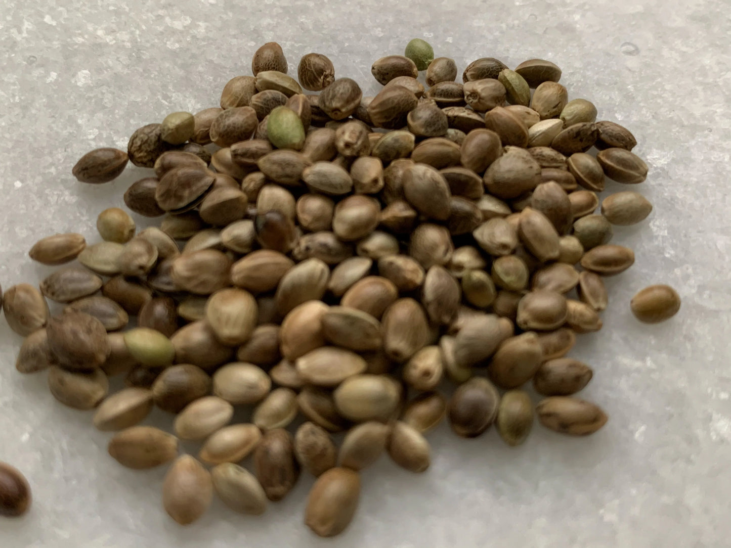 Raw Hemp Seeds