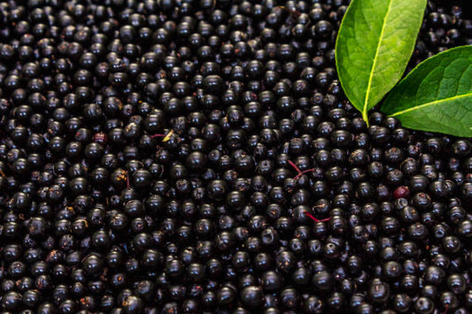 Elderberries