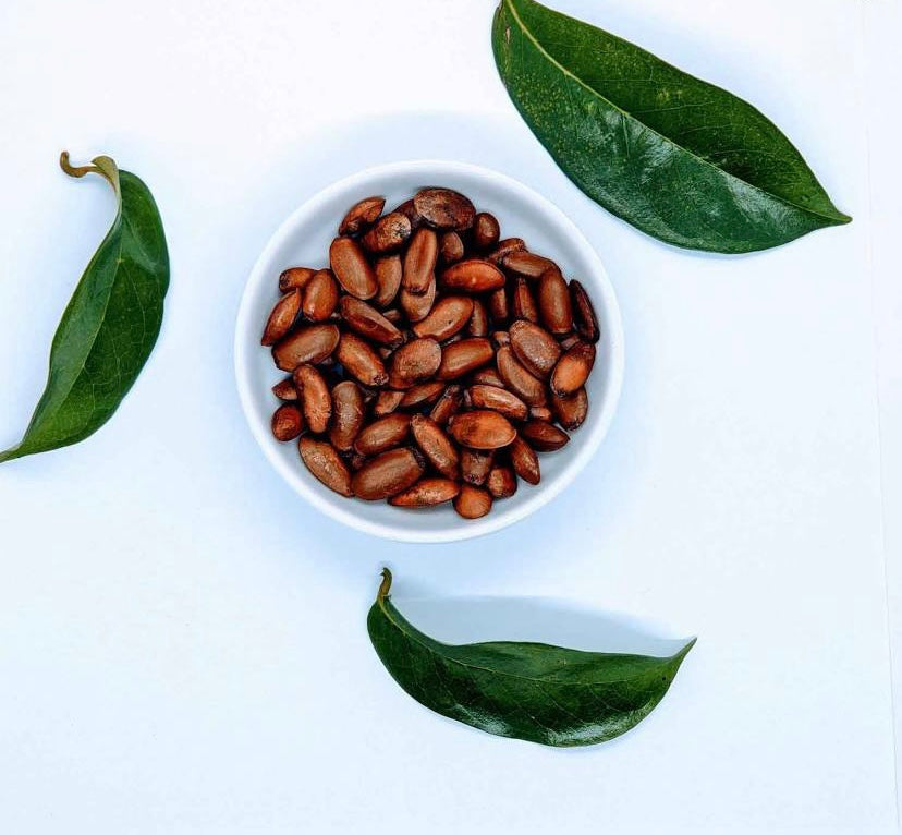 Soursop seeds