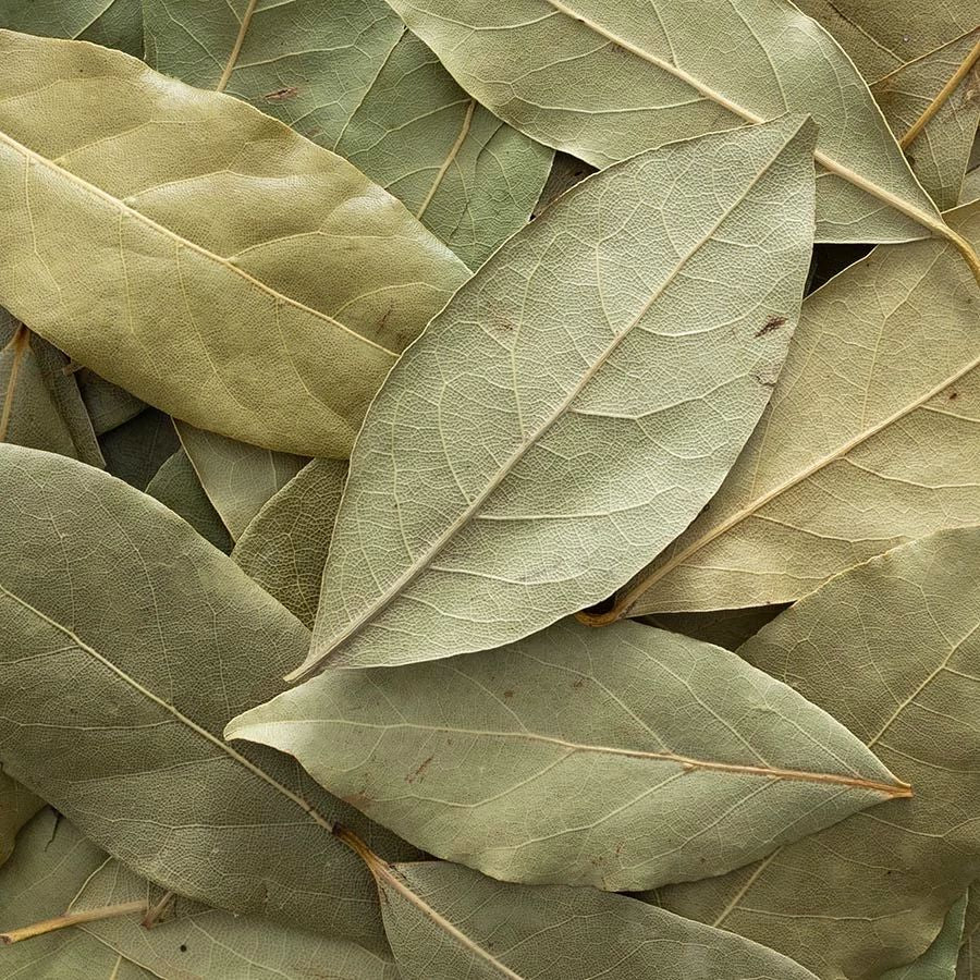 Bay Leaves