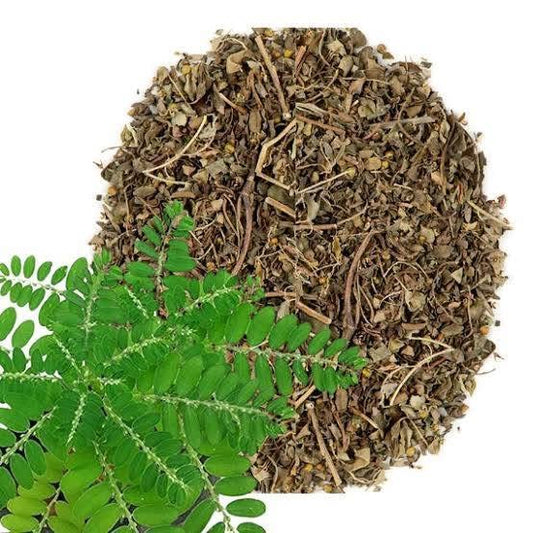 Chanca Piedra tea