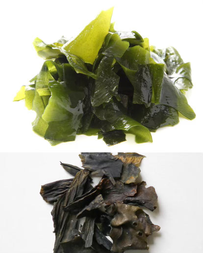Dried Wakame flakes