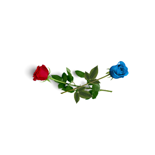 moessance