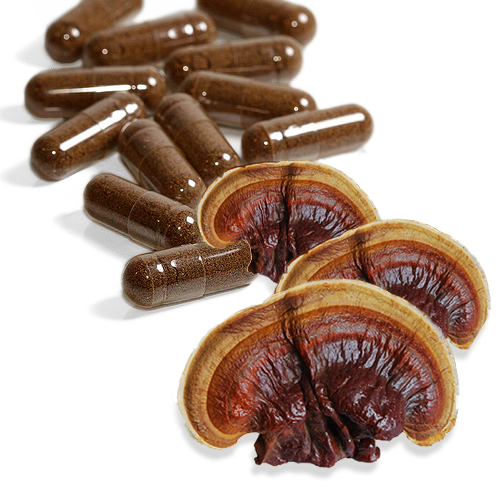 Reishi mushroom capsules