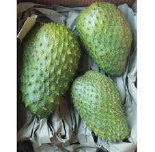 Soursop