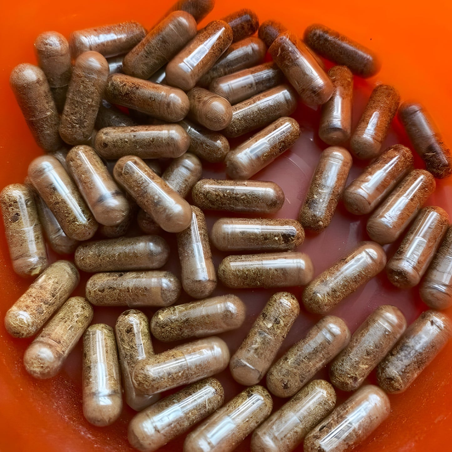 BIO SEHHAW CAPSULES